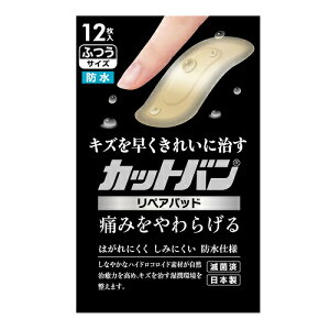 [Si]Jbgo yApbh ӂTCY 12