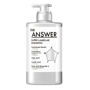 [ԉ]THE ANSWER X[p[Vv[ |v 400mL