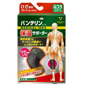 [a]oeۉT|[^[ Ђp ӂ 1