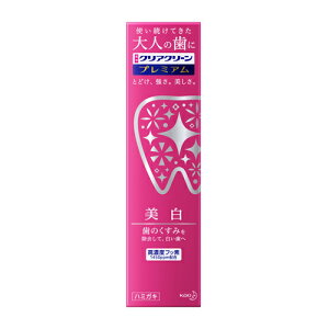 [ԉ]NAN[ v~A  100g