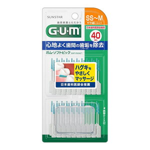 [TX^[]GUM(K) \tgsbN SS`MTCY (ׂ^Cv) 40{