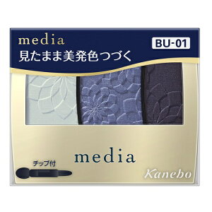 [Jl{E]fBA OfJ[ACVhEN BU-01 3.1g