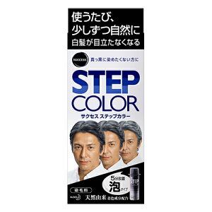 [ԉ]TNZX XebvJ[ 110g