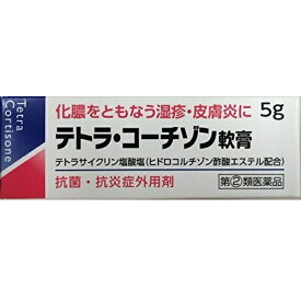 【第(2)類医薬品】[伊丹製薬]テトラコーチゾン軟膏 5g