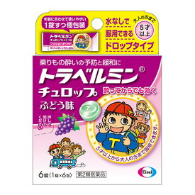 楽天市場 子供 用 酔い 止め ドロップの通販