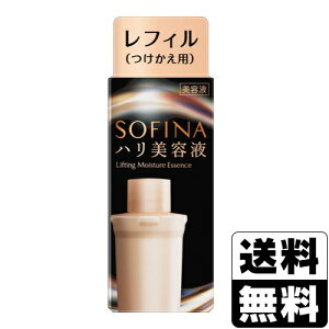 [ԉ]\tB[i net tւ 40g