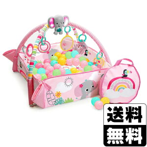 Bright Starts(uCgX^[c) 5in1 AEFC{[vCW C{[ (12625)