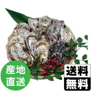 ���Y�n�������Ⓚ�E���H�pEmperor Oyster(�G���y���[ �I�C�X�^�[) S�T�C�Y 12�����k�C���E����ւ̔z���s�����s�L�����Z���s��