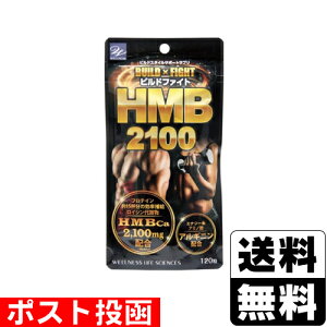 |Xgrht@Cg HMB2100 (120)