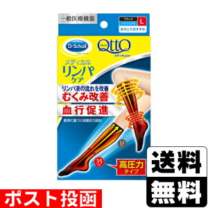 |XghN^[V[ fBLbg fBJ nC\bNX ubN LTCY