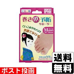 |Xgw ܗ\hT|[^[ MTCY 2