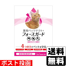 ■ポスト投函■[ドギーマン]薬用ペッツテクト+フォースガード 猫用 1.2ml×3本入