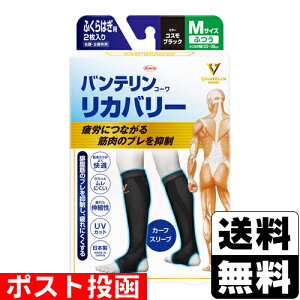 |Xg[a]oe Jo[ J[tX[u RXubN MTCY 2