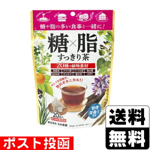 |Xg[{]× 蒃 2g×20ܓ