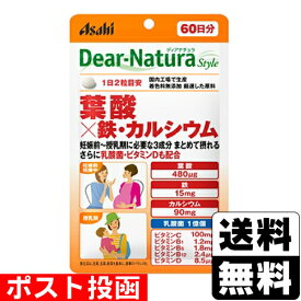 ■ポスト投函■[アサヒ]ディアナチュラスタイル 葉酸×鉄・カルシウム 120粒