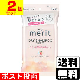 ■ポスト投函■[花王]メリット DAY+ドライシャンプーシート まとまるタイプ 12枚入【2個セット】