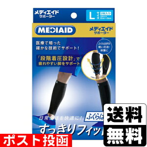 |XgfBGChT|[^[ tBbgӂ͂ L 2