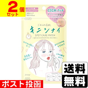 |Xg[R[Z[]NA^[ ߂ˑf LjViCpb` 46y2Zbgz