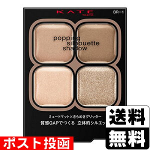 |Xg[Jl{E]KATE(PCg) |bsOVGbgVhE BR-1 O[W|bv 3.6g