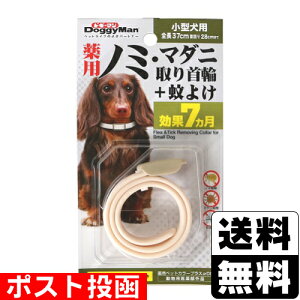 |XghM[} pm~E}_jց{悯 ^p