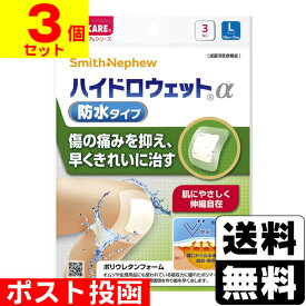 ■ポスト投函■[森下仁丹]メディケア ハイドロウェットα 防水タイプ Lサイズ 3枚入【3個セット】