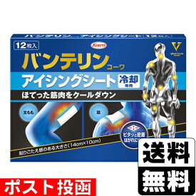 ■ポスト投函■[興和]バンテリンコーワ アイシングシート 12枚入