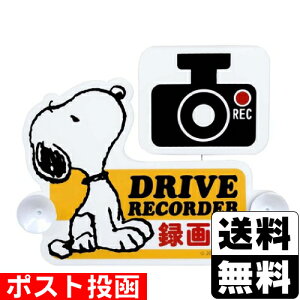 |XghCuR[_[XCOTC Xk[s[ (SN80)