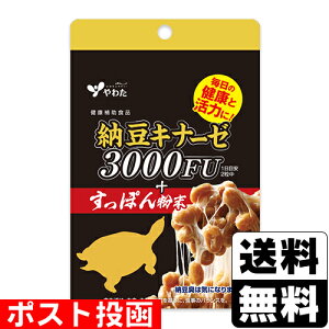 |Xg[킽][Li[[3000FU+ۂ񕲖 60