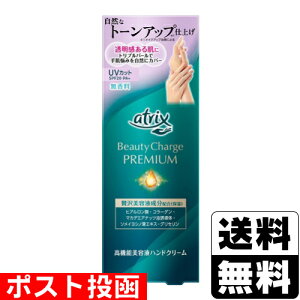 |Xg[ԉ]AgbNX r[eB[`[Wv~A g[Abv nhN[  60g