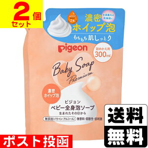 |Xg[sW]xr[SgA\[v ZzCbvA lւ 300mly2Zbgz