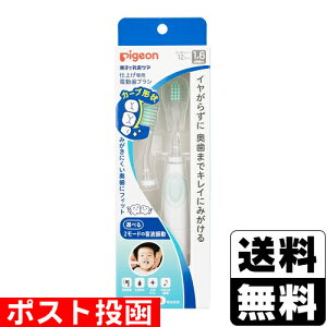 |Xg[sW]eqœPA dグp duV O[ (16`) 1