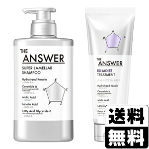 [ԉ]THE ANSWER X[p[Vv[ |v 400mL+EX CXgg[gg FOR DAILY DAMAGE 220g