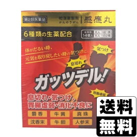 楽天市場】ビイレバーキングNEXT 500ml【3本セット】 : ドラッグストア 