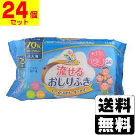 大人用 流せるおしりふき 70枚入【1ケース(24個入)】