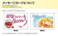 【あす楽】遅れてごめんねホワイトデー生チョコ9個入1箱送料無料トリュフシャンティショコラボヌールチョコレートギフトプレゼント財宝美味しいとろける生チョコ