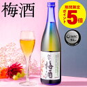 【ポイント5倍】 梅酒 ギフト 財宝梅酒 12度 720ml 2本 ホワイトデー お返し 送料無料 誕生日 プレゼント ギフト梅酒 化粧箱入 女性 彼女 妻 母 義母 誕生日ギフト 国産 梅の実 はちみつ 温泉水 使用