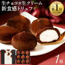 【ポイント2倍】 チョコレート お中元 ギフト チョコ スイーツ 生チョコ トリュフ シャンティ ショコラ 9個入 1箱 御中元 夏ギフト 送料無料 おしゃれ 誕生日 プレゼント アイス としても
