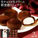 チョコレート お中元 ギフト チョコ スイーツ 生チョコ トリュフ シャンティ ショコラ 9個入 2箱 御中元 送料無料 おしゃれ 誕生日 プレゼント アイス としても