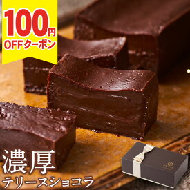 ＼100円OFFクーポン／ 父の日 チョコ ギフト チョコレート 濃厚 テリーヌ ショコラ 1箱/2箱 送料無料 父の日ギフト2026 スイーツ 誕生日 プレゼント チョコレートケーキ お取り寄せ 冷凍 ケーキ アイス アイスクリーム 代用