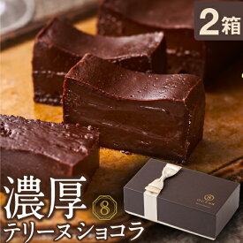 【最短当日出荷】 母の日 プレゼント チョコレート 濃厚 テリーヌ ショコラ チョコ ケーキ ギフト オクタス 2箱 送料無料 おしゃれ 美味しい お菓子 お取り寄せ チョコレートケーキ 高級 人気 スイーツ