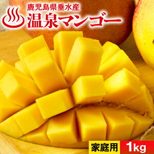 �y�|�C���g3�{�z �}���S�[ ����}���S�[ �������� �����Y 1kg 1�� 2�`3�ʓ� �I�ׂ� ���ϔ���/ �ƒ�p �󂠂� ���Y ���n�}���S�[ �������� ������ �ăM�t�g �t���[�c �M�t�g �A�b�v���}���S�[ ��