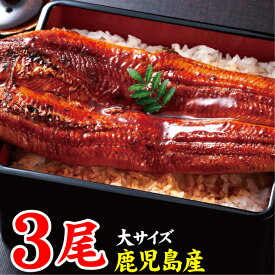 うなぎ 国産 お歳暮 ギフト 鹿児島 鰻 蒲焼き 170g 3尾 送料無料 お取り寄せ ウナギ うなぎ蒲焼き 冷凍 国産うなぎ 蒲焼 セット unagi 誕生日 プレゼント 御歳暮 贈り物 お祝い