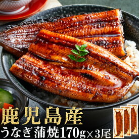 【ポイント3倍】 お中元 うなぎ 国産 ギフト 鹿児島 鰻 蒲焼き 170g 3尾 送料無料 土用の丑の日 夏ギフト 御中元 2026 お取り寄せ ウナギ うなぎ蒲焼き 冷凍 国産うなぎ 蒲焼 セット たれ 山椒 付き unagi 誕生日 プレゼント