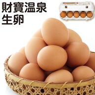 【P3倍 レビュー高評価4.8以上】 卵 たまご 財宝温泉 生卵 20個 /40個 送料無料 1パック10個入 玉子 ブラ…