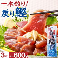 【P3倍 レビュー高評価4.6以上】 戻り鰹 かつお 鰹 3本 600g 冷凍 送料無料 枕崎 名産 カツオ 刺身 おか…