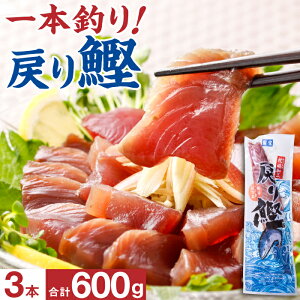 ߂芏   3{ 600g Ⓚ   Y JcI hg  ܂ Ε Mtg Hp 