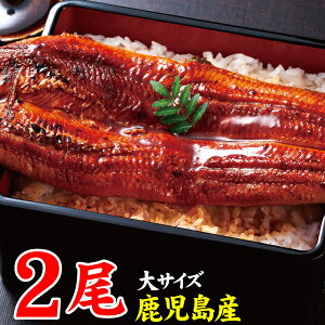 Ȃ Y Mtg  V Ă 170g 2 xĂ߂ hV̓ v[g   EiM ȂĂ Ⓚ YȂ  Zbg unagi a yp̉N̓ 蕨 