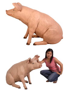 䂩ȓ؂BR / Large PigFRP ϐ y  Oph K[ft@j`[ u CeA IuWF 