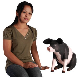 䂩ȓ؂()P&B / Sitting Pig SmallFRP ϐ y  Oph K[ft@j`[ u CeA IuWF 