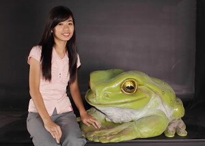 łJG / Frog JumboFRP ϐ y  Oph K[ft@j`[ u CeA IuWF 